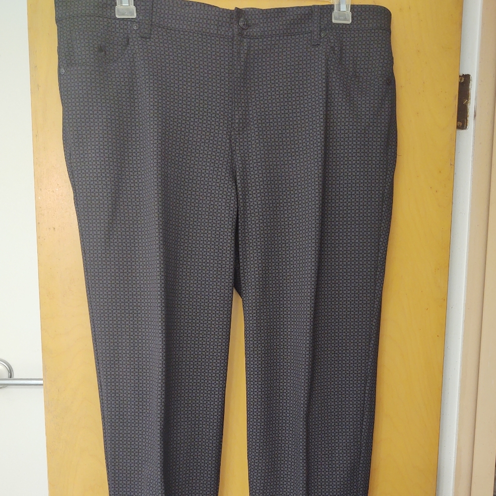 16W Short Gloria Vanderbilt Amanda pants